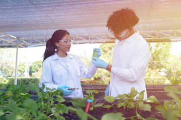 Scientists, men and women are experimenting and analyzing about the cultivation of agricultural...