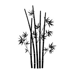 Obraz premium Elegant silhouette of a lush bamboo plant showcasing its tall stalks and leafy fronds isolated on white background