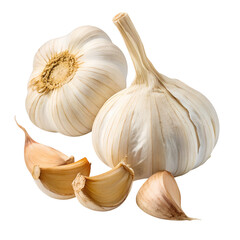 A collection of ripe garlic bulbs and individual cloves arranged artfully, isolated on a pure transparent background, emphasizing their natural form and culinary potential