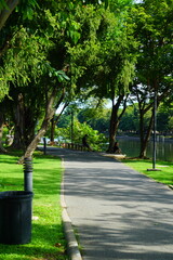 Fresh green lawns in the park. Blur nature bokeh green park trees in morning.