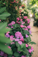 Elegant Floral Shopfront with Lush Greenery and Blooming Flowers