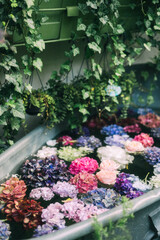 Elegant Floral Shopfront with Lush Greenery and Blooming Flowers