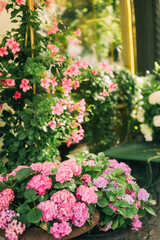 Elegant Floral Shopfront with Lush Greenery and Blooming Flowers