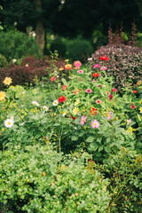 Elegant Floral Shopfront with Lush Greenery and Blooming Flowers