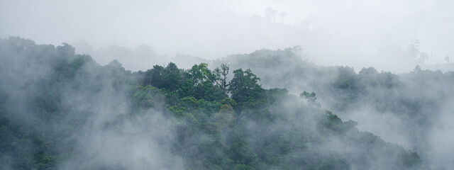 banner background of the mountain landscape is veiled in a misty fog, with clouds drifting across the sky, while a solitary tree stands tall, embracing nature's serene beauty.