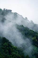 In the morning, the mountain landscape is veiled in a misty fog, with clouds drifting across the sky, while a solitary tree stands tall, embracing nature's serene beauty.