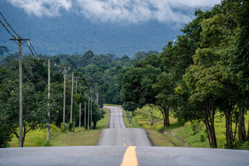 Fototapeta premium A winding highway of asphalt cuts through the mountain landscape, where nature thrives, trees guard the road, forests embrace the horizon, and travel feels alive.