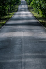 A winding highway of asphalt cuts through the mountain landscape, where nature thrives, trees guard the road, forests embrace the horizon, and travel feels alive.