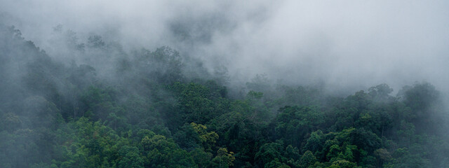 banner background of the mountain landscape is veiled in a misty fog, with clouds drifting across the sky, while a solitary tree stands tall, embracing nature's serene beauty.