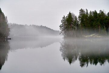 fog on the lake