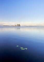 foggy morning on the lake