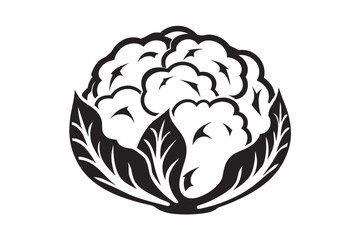 Stylized Cauliflower Head with Leaves on White Background