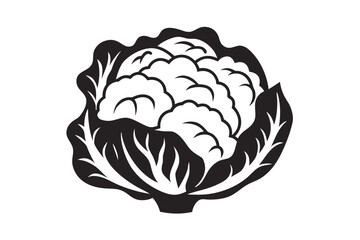 Stylized Cauliflower Isolated on White Background, Simple