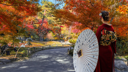 Japanese Woman in Traditional Kimono Dress at Hogon-in Temple with beautiful foliage in autumn in Kyoto, Japan