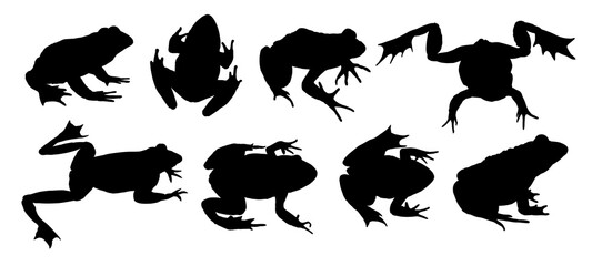 Set of big frogs silhouettes.
