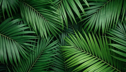 green leaves background
