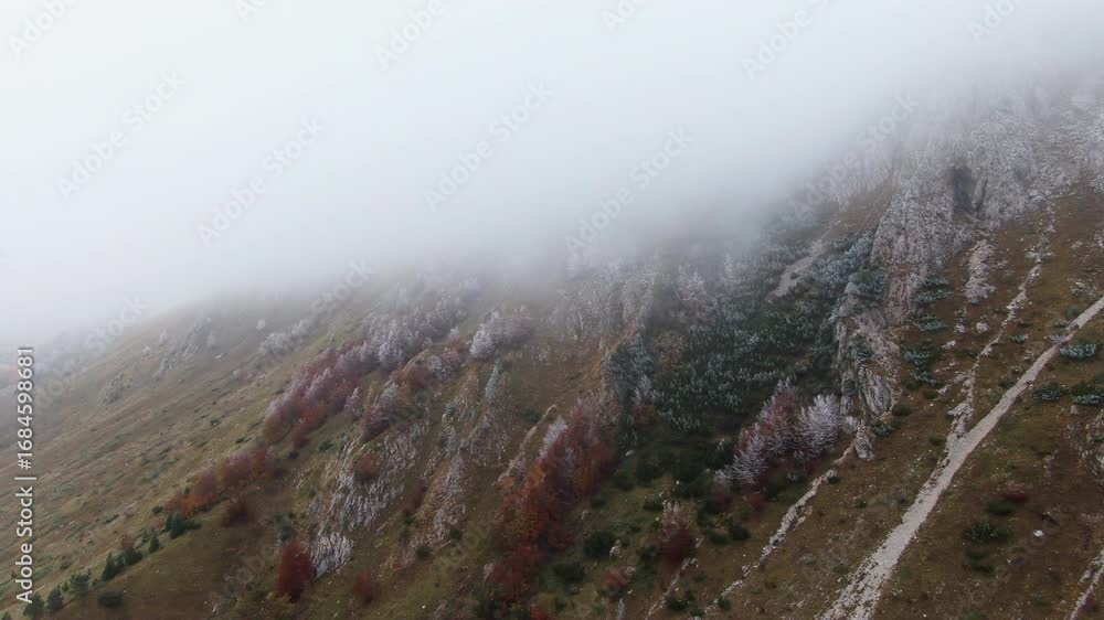 Poster hillside view of trees and rocks with low hanging clouds there is a path going down the hill and the
