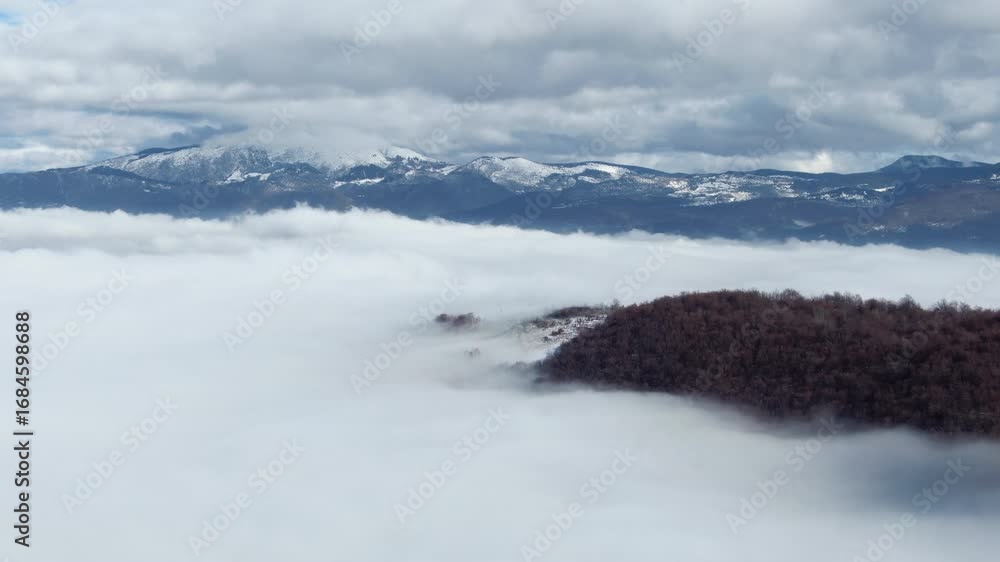 Poster a view of mountains with clouds above the fog in the valley trees are surrounded by a sea of white c