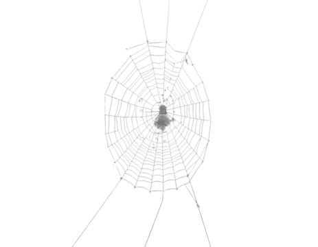 Abstract Representation