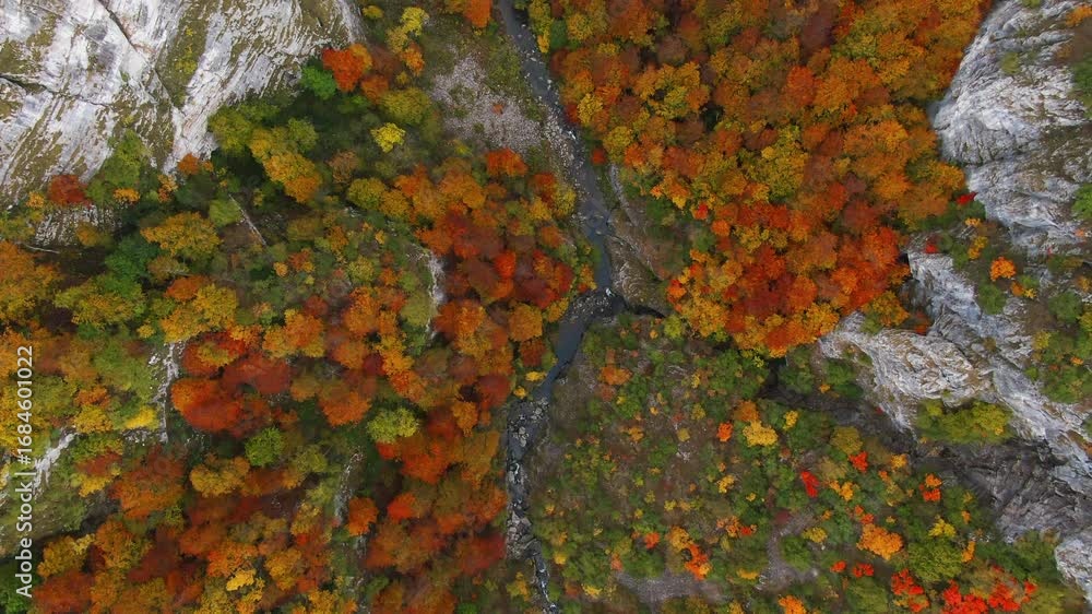 Poster aerial view of a river flowing through a valley with trees in various autumn colors and rocky cliffs