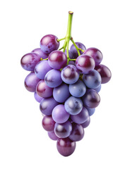 Fototapeta premium Purple grapes illustration Isolated on Transparent or White Background