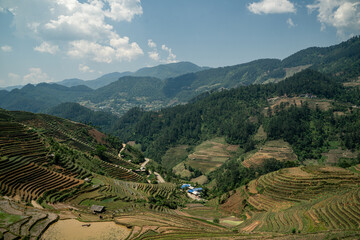 Terrace fields blanket the green mountains of Vietnam, where rice agriculture thrives-an iconic...