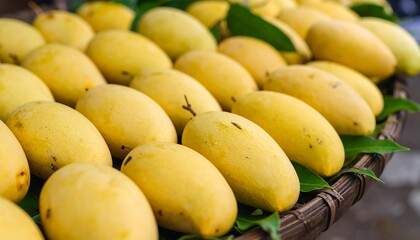 Ripe yellow mangoes in a woven basket