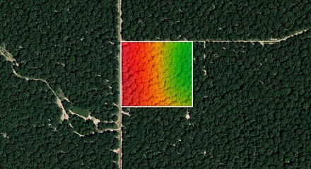 Aerial satellite perspective of a vast forest landscape featuring an advanced red to green gradient overlay, visualizing critical environmental data for scientific analysis and ecological monitoring