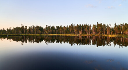 Fototapeta premium reflection of trees in water