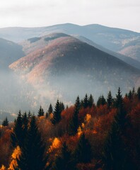 Autumn landscape photography mountain forests nature scene foggy environment wide angle view peaceful concept