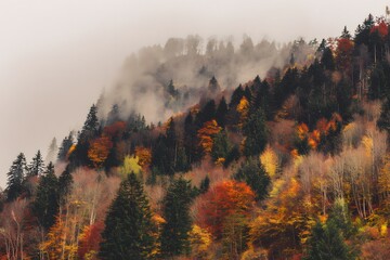 Autumn colors fill the mountain landscape foggy forest in fall nature photography serene environment aerial view vibrant scenery
