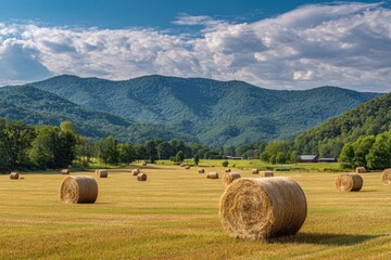 Tennessee Land. Beautiful Countryside with Hay Bales in North Georgia Mountains