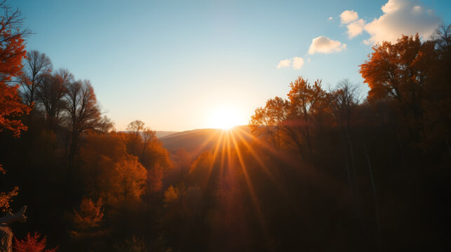 Extra breites Panorama von einem malerischen Wald im Herbst bei goldenem Sonnenschein