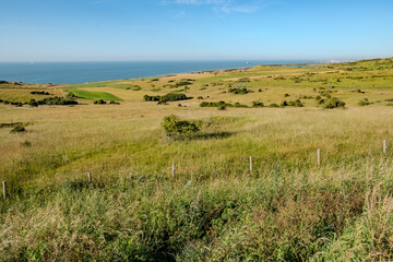 Obraz premium Cap Blanc-Nez, Escalles, Pas-de-Calais, Hauts-de-France, France, July 29th, 2025, A breathtaking view showcasing vibrant green fields seamlessly meeting the vast ocean under a clear blue sky