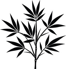 Close up of a bright red apple with water droplets showcasing freshness and health for healthy eating concepts transparent background