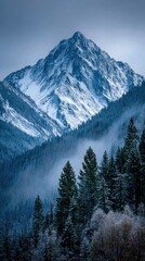 Snowy mountain peak above a misty forest
