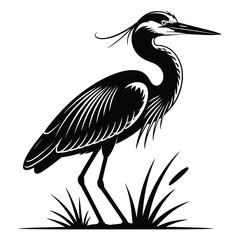 heron on a black background