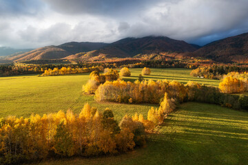 Autumn Landscape with Rolling Hills and Trees