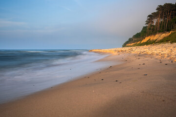 Sandy Beach with Pine Forest and Cliffs