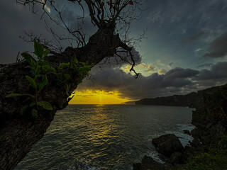 Coastal Vista at Sunset: A dramatic coastal landscape unfolds at dusk, where rugged cliffs meet the...