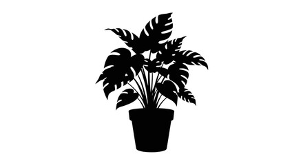 Obraz premium silhouette of potted monstera plant tropical leaf illustration, home decor, botanical