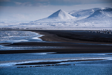 Snow-Covered Arctic Landscape with Reindeer