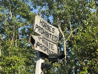 no parking sign in the park