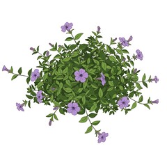 Purple Flowering Plant Bush Top View Vector Illustration