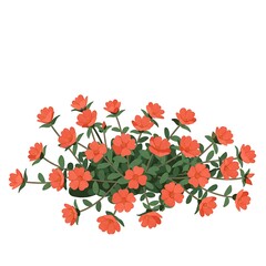 Vibrant Red-Orange Flowers with Green Leaves Illustration on White Background