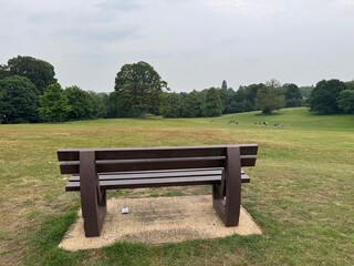 wooden bench in the park