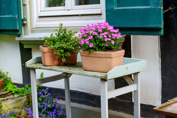 Charming Flower Pots on a Wooden Table in Hattingen Germany