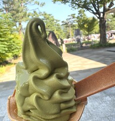 旅先の公園で食べる抹茶ソフトクリーム