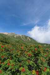 青空が美しい御嶽登山