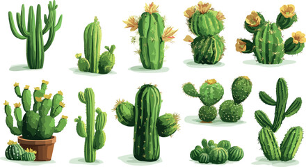 Collection of various potted cacti and succulents displayed against a clean white background